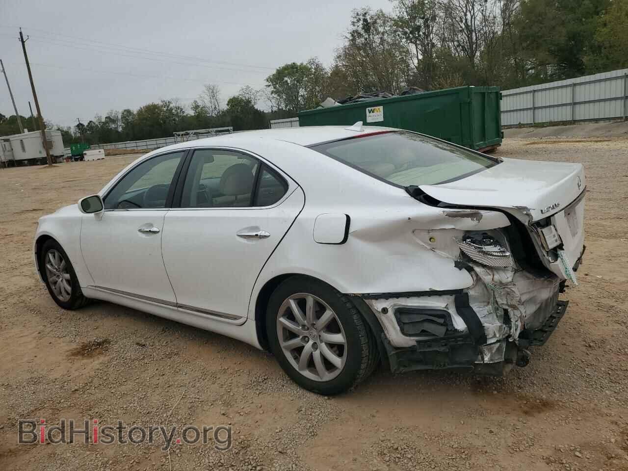 2008 LEXUS LS460 - VIN: JTHBL46F185070526 - Фото 2