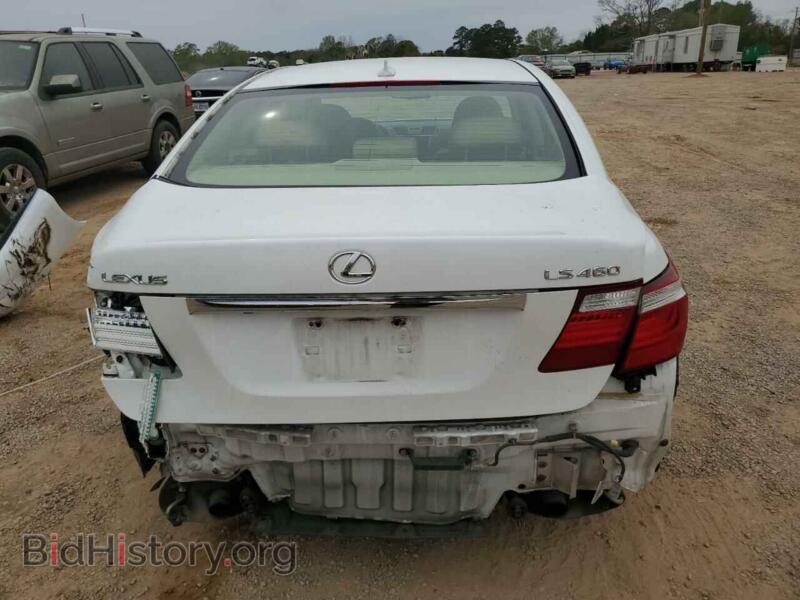 2008 Lexus LS460 (VIN JTHBL46F185070526) — photo 6 of 12