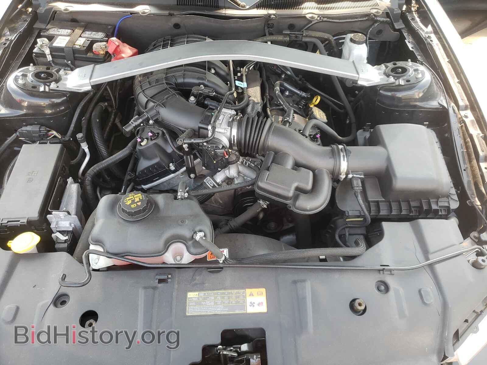 2013 FORD MUSTANG - VIN: 1ZVBP8EMXD5280028 - Фото 7