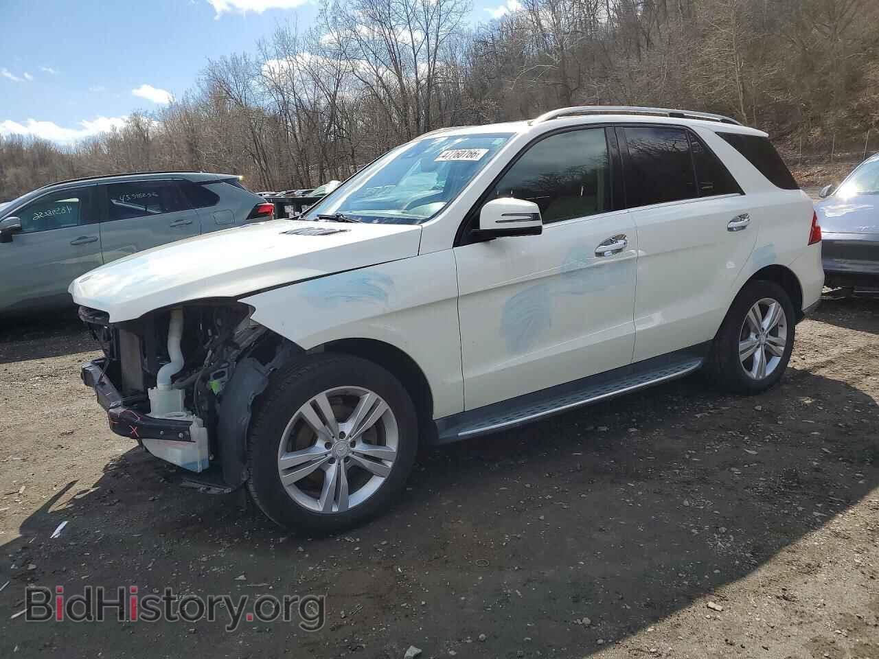 Photo 4JGDA5HB9DA163453 - MERCEDES-BENZ M-CLASS 2013