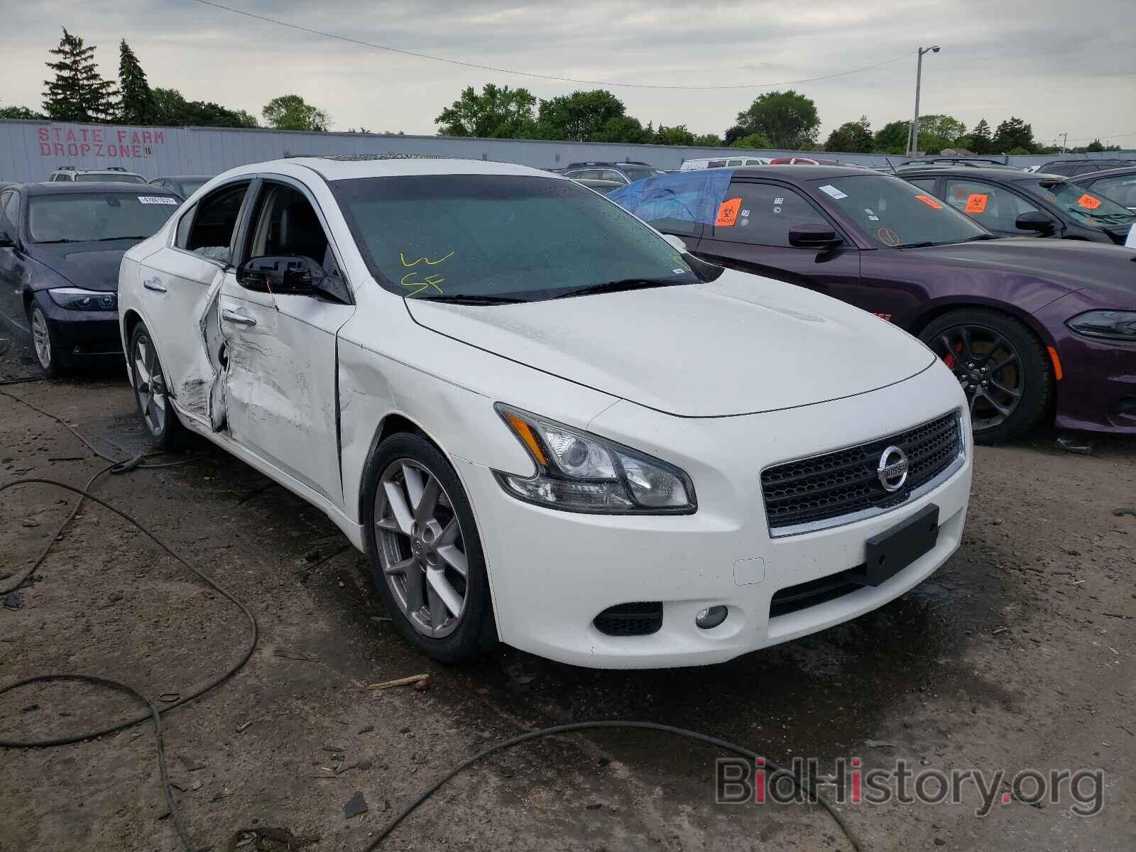 Photo 1N4AA5AP4BC865426 - NISSAN MAXIMA 2011