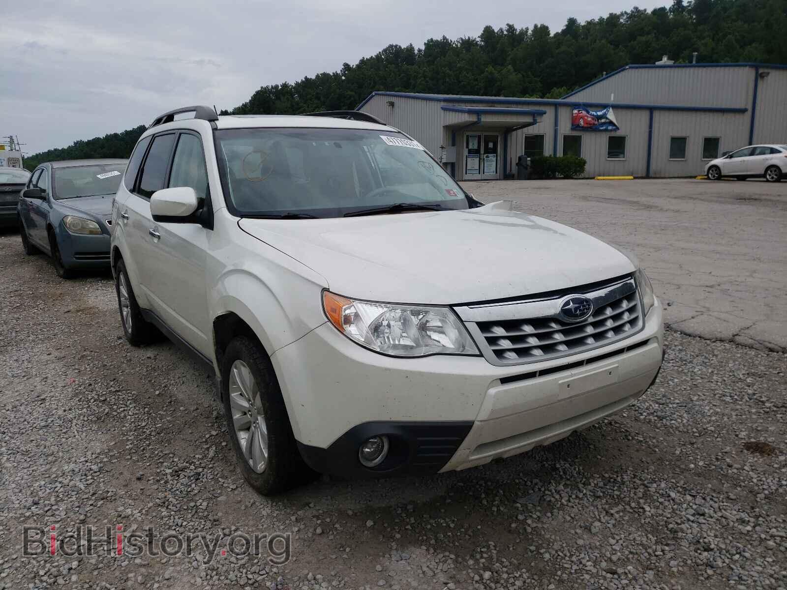 Photo JF2SHADC3BH753071 - SUBARU FORESTER 2011