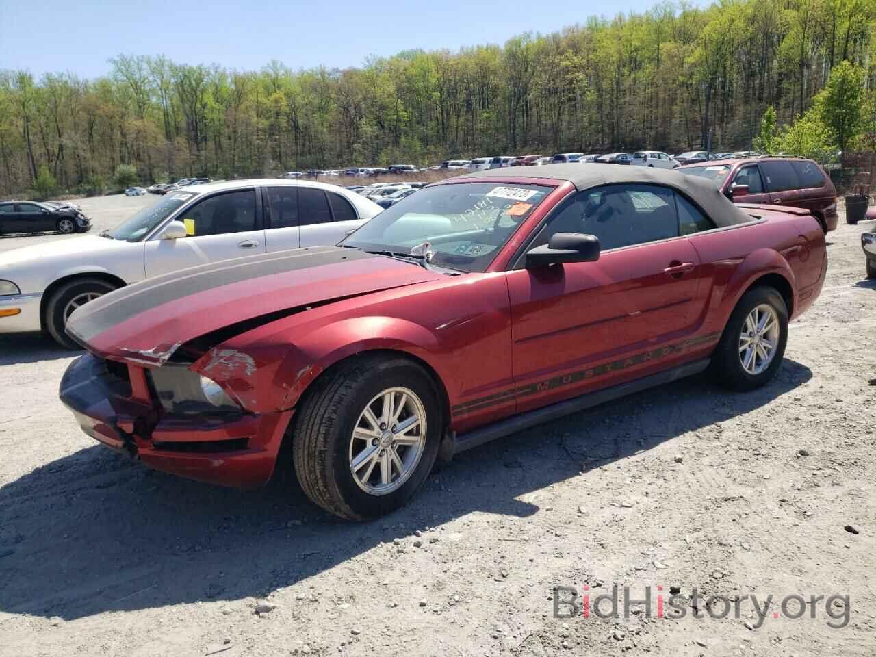 Photo 1ZVFT84N975340649 - FORD MUSTANG 2007