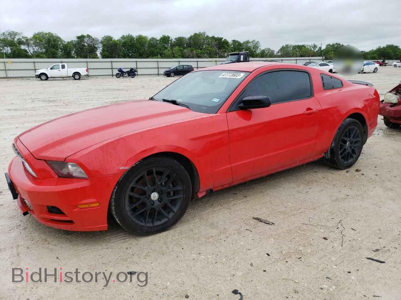 Фотография 1ZVBP8AM0E5226390 - FORD MUSTANG 2014