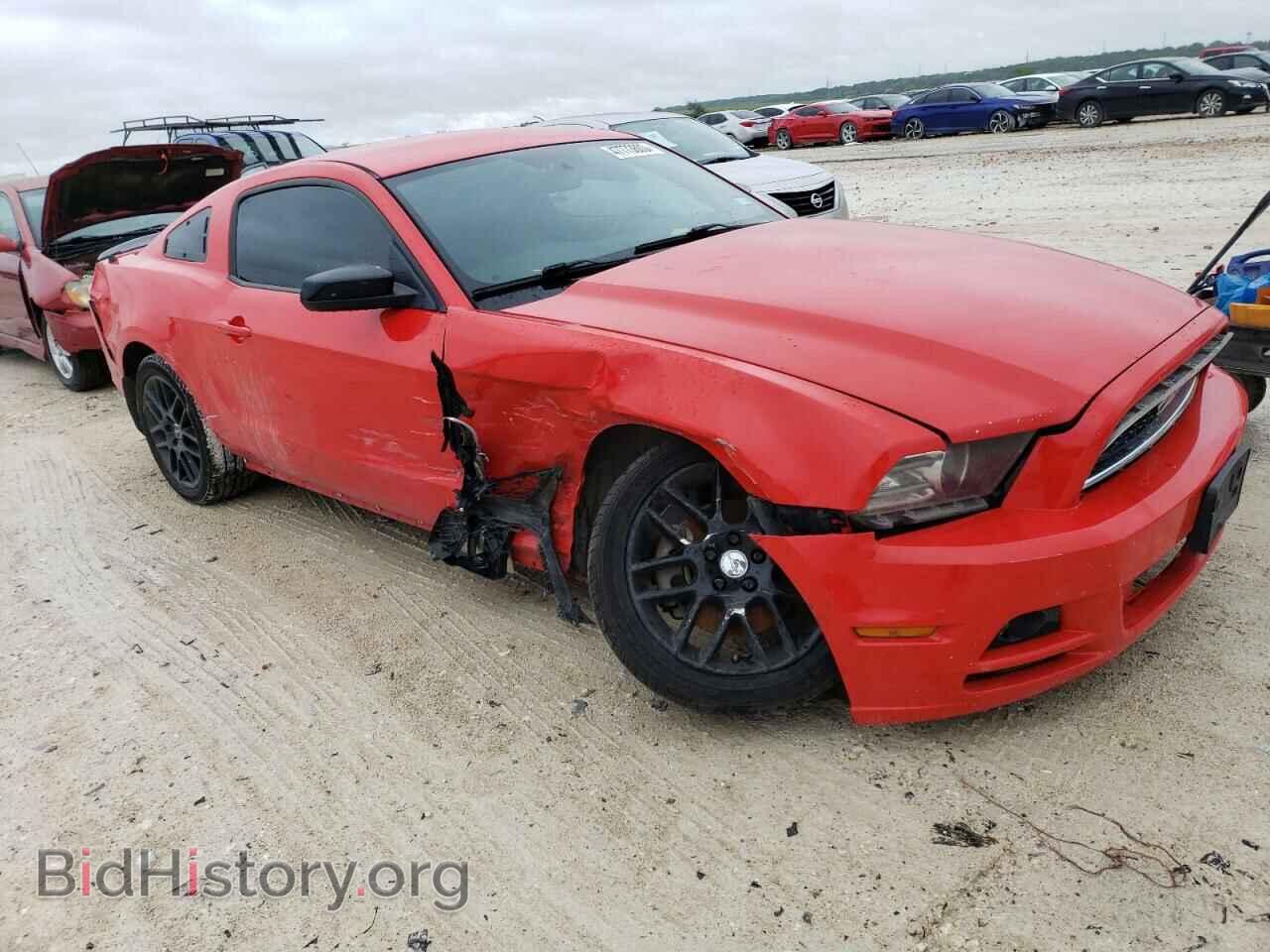 2014 FORD MUSTANG - VIN: 1ZVBP8AM0E5226390 - Фото 4