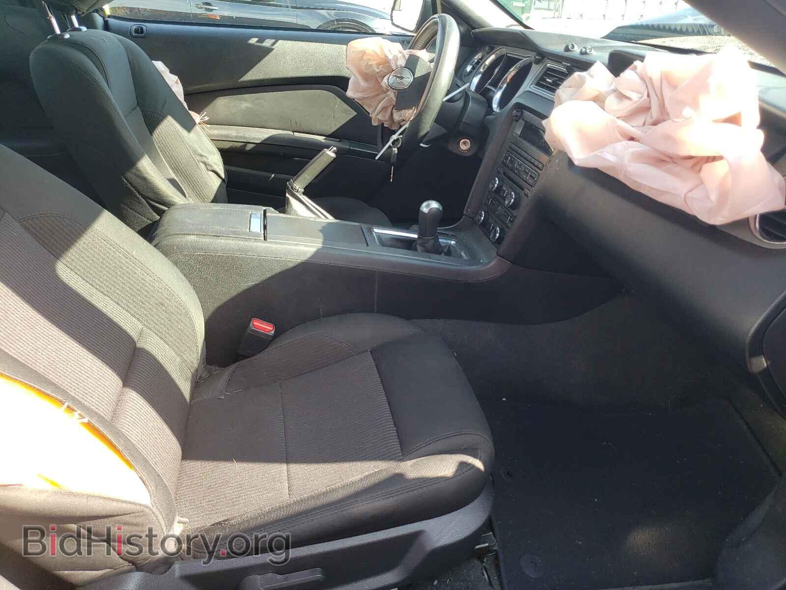 2014 FORD MUSTANG - VIN: 1ZVBP8AM4E5314665 - Фото 5