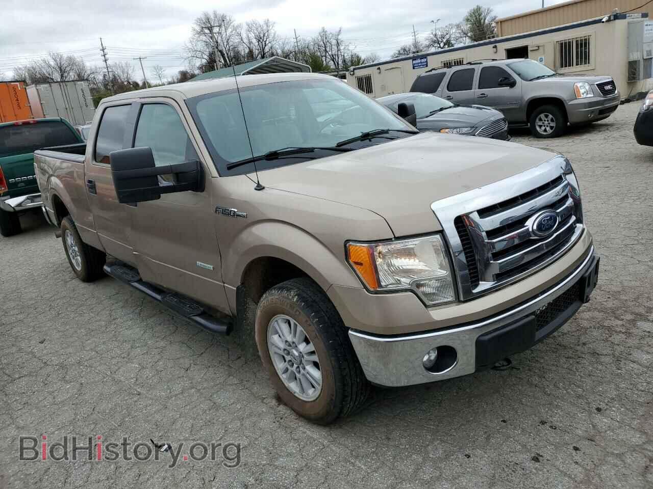 2012 FORD F-150 - VIN: 1FTVW1ET8CKD30443 - Фото 4