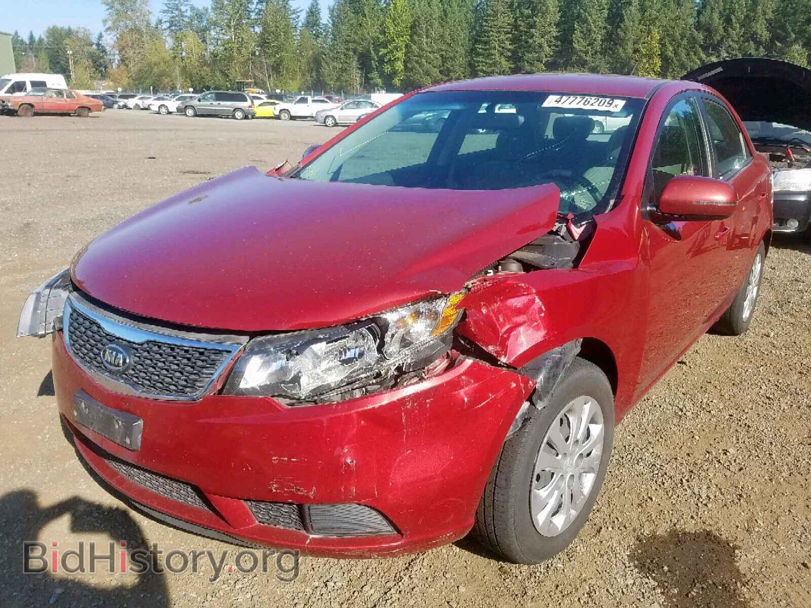 2012 KIA FORTE EX - VIN: KNAFU4A20C5591909 - Фото 2