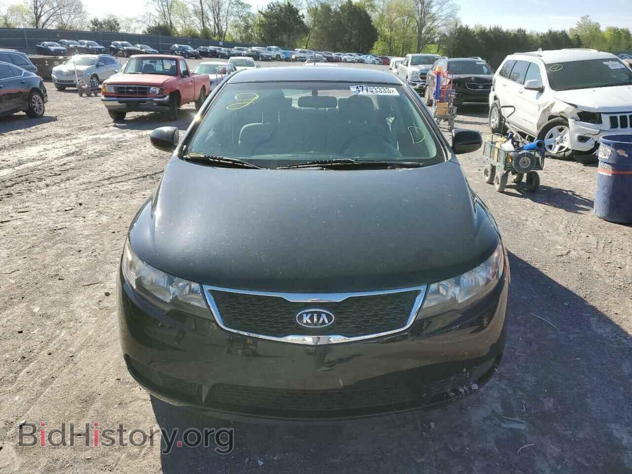 2013 KIA FORTE - VIN: KNAFT4A25D5708274 - Фото 5