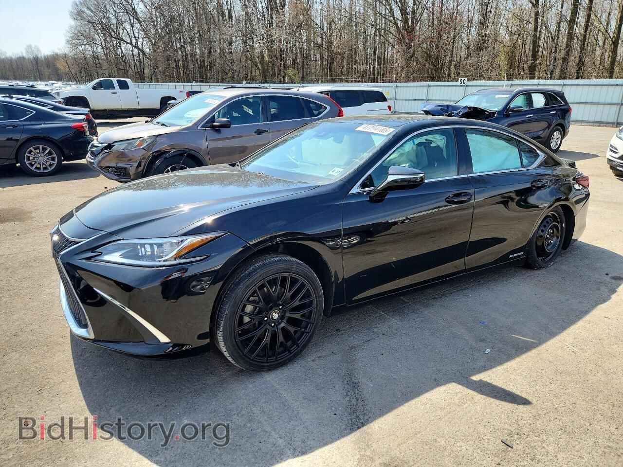 Photo 58ADA1C19NU015271 - LEXUS ES300 2022