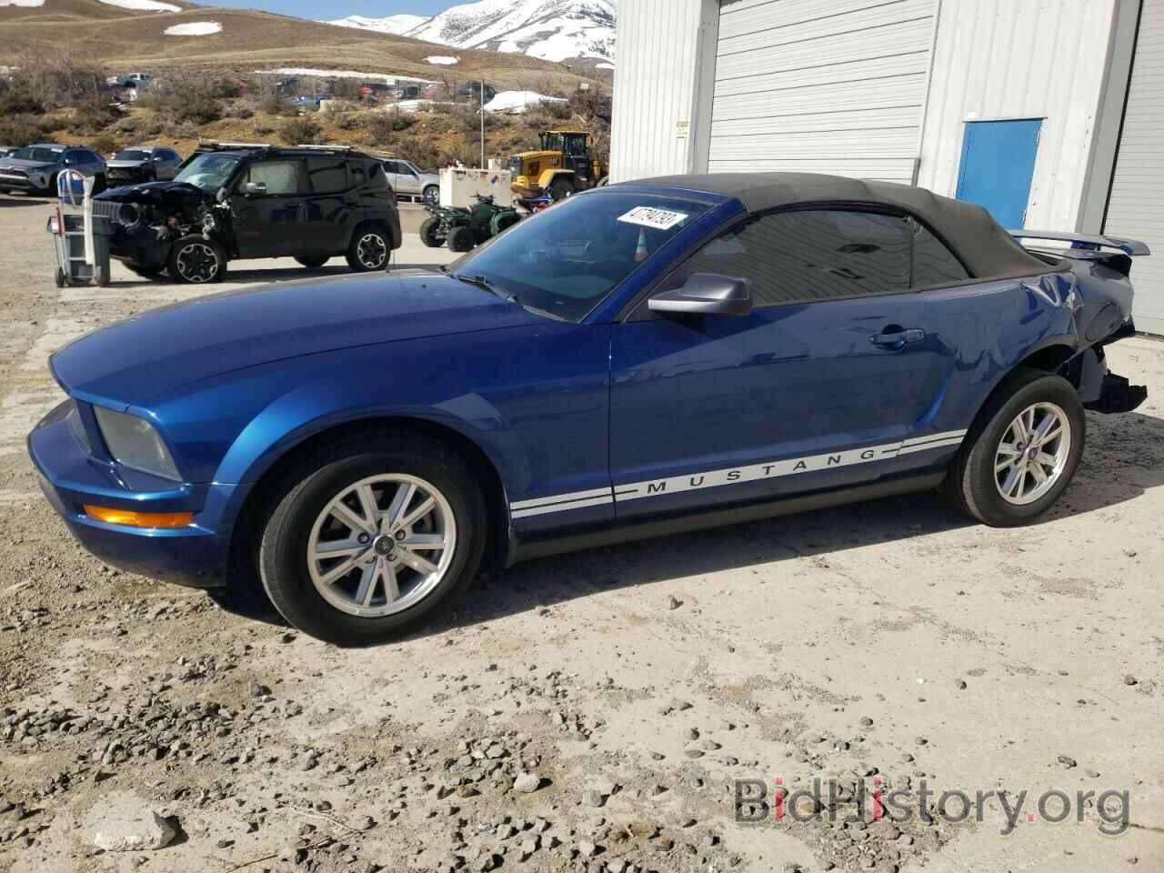 Photo 1ZVFT84N765185856 - FORD MUSTANG 2006