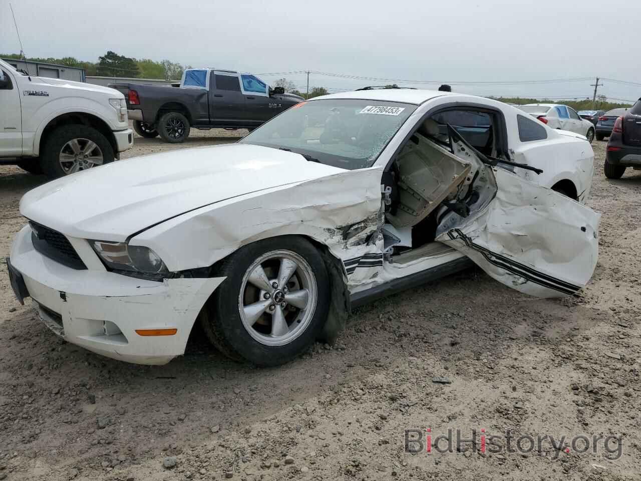 Photo 1ZVBP8AN0A5128110 - FORD MUSTANG 2010