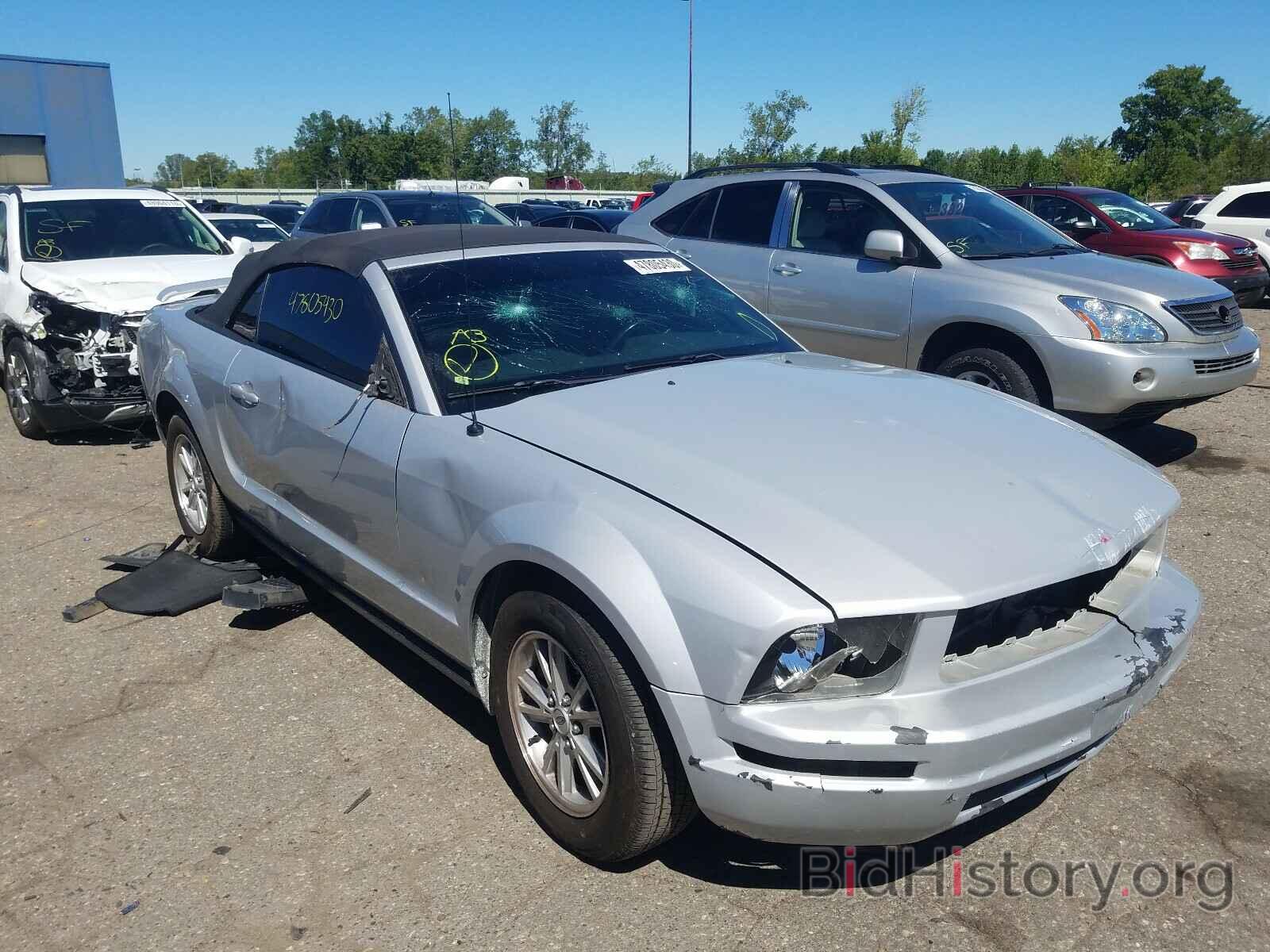 Photo 1ZVFT84N465185331 - FORD MUSTANG 2006