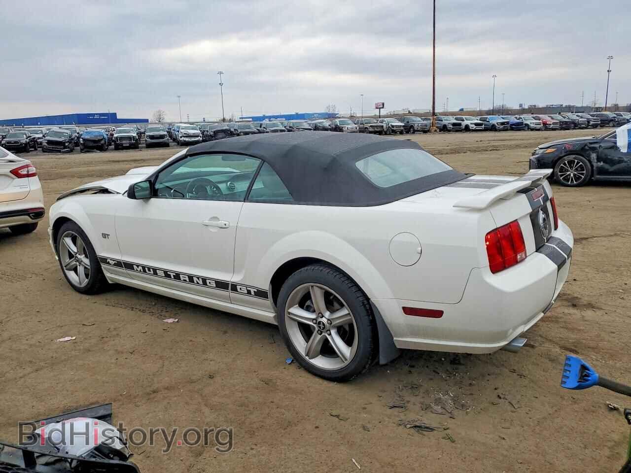2006 FORD MUSTANG - VIN: 1ZVFT85H265207352 - Фото 2