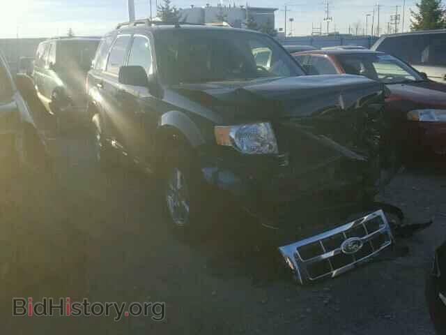 Photo 1FMCU0DGXBKB75707 - FORD ESCAPE 2011