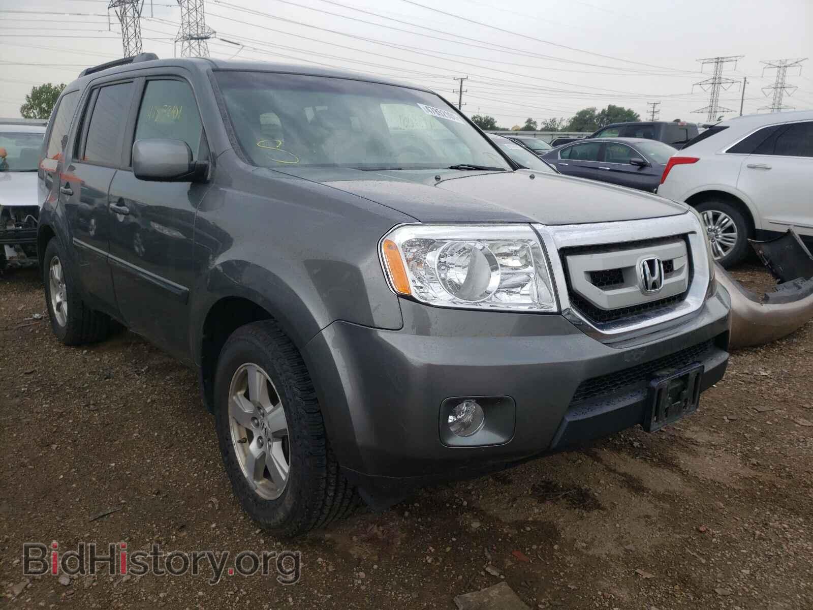 Фотография 5FNYF48509B002662 - HONDA PILOT 2009