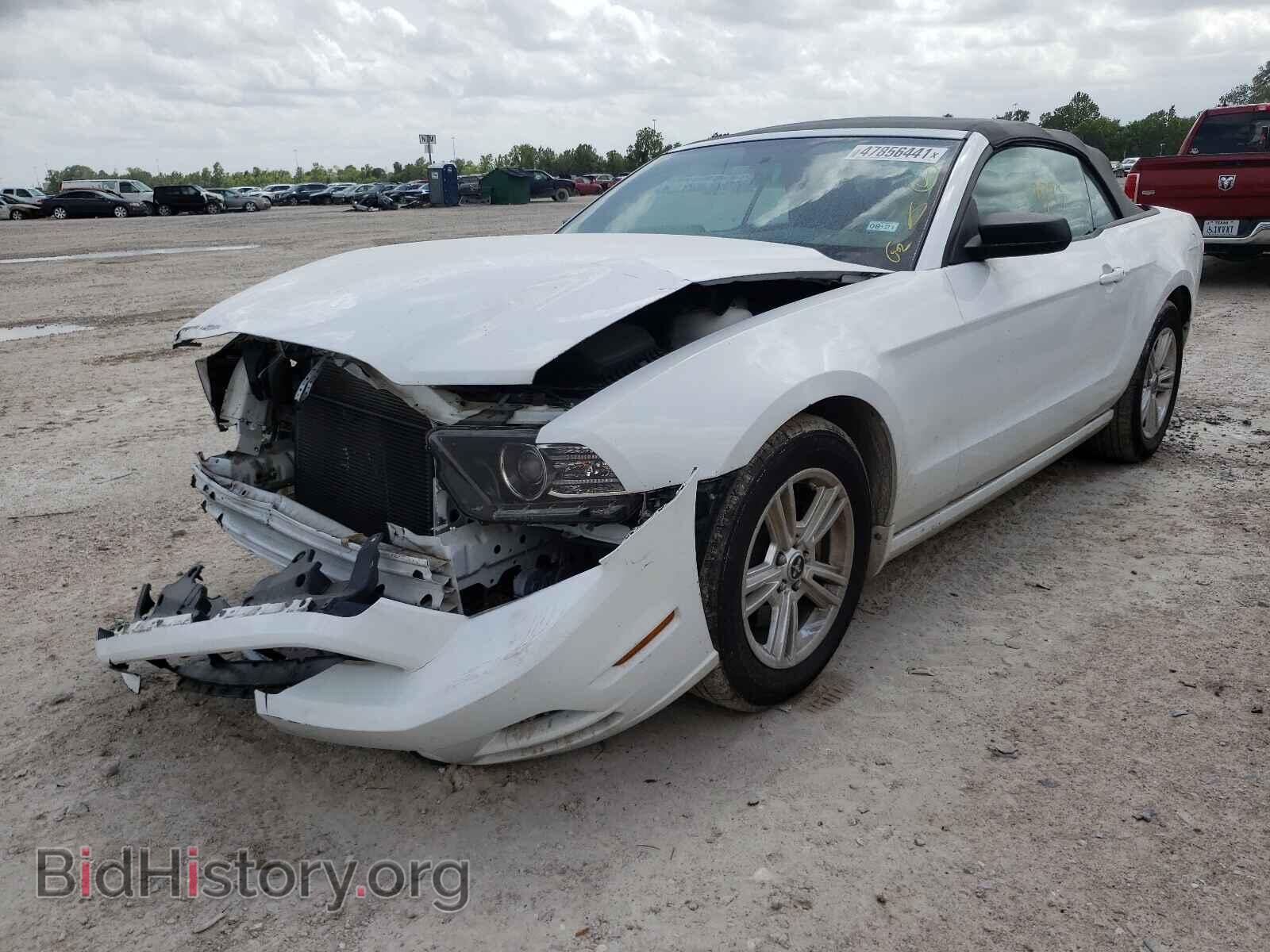 2014 FORD MUSTANG - VIN: 1ZVBP8EM4E5229352 - Фото 2