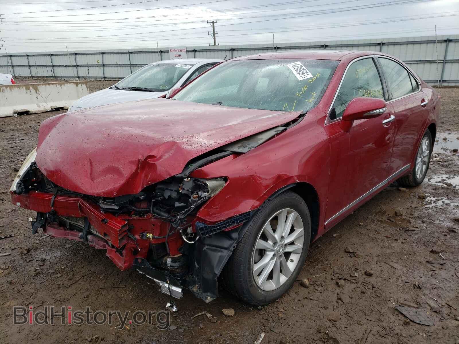 2010 LEXUS ES350 - VIN: JTHBK1EG8A2344291 - Фото 2