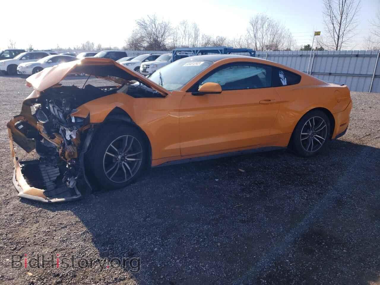 2019 FORD MUSTANG - VIN: 1FA6P8TH7K5103286 - Фото 2