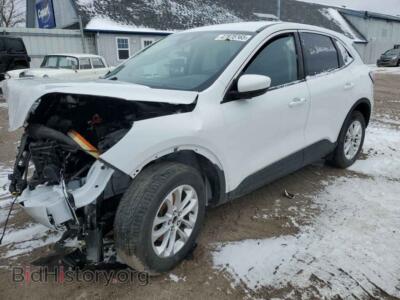2020 Ford ESCAPE SE, белый — VIN 1FMCU9G62LUA29847, Copart