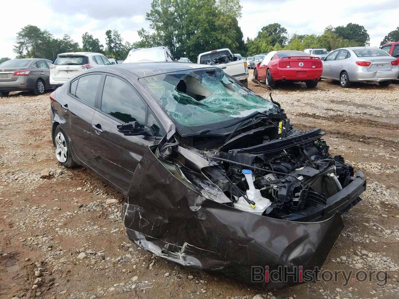 Photo 3KPFL4A75HE074568 - KIA FORTE 2017