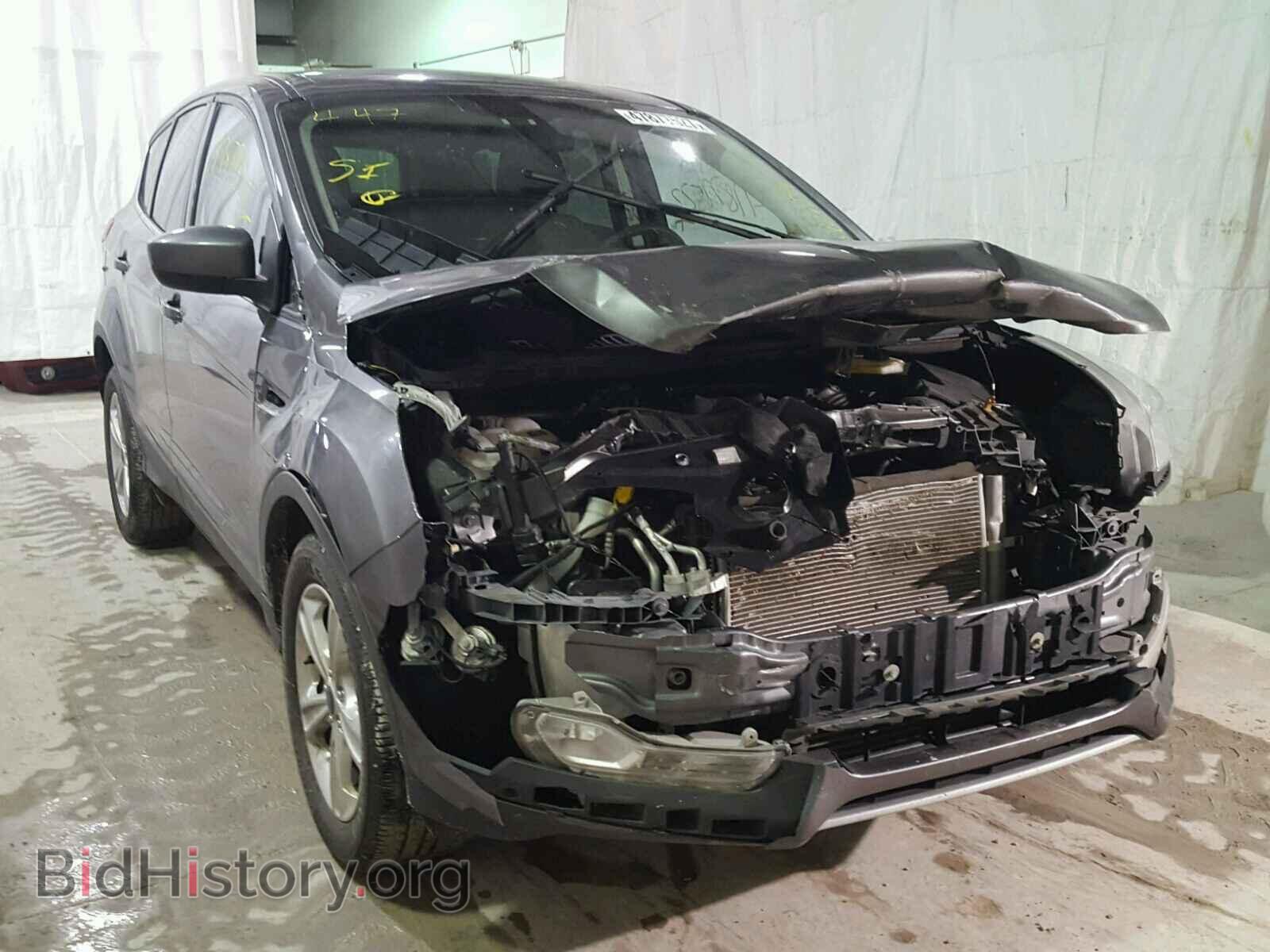Фотография 1FMCU0GX2DUA09409 - FORD ESCAPE 2013
