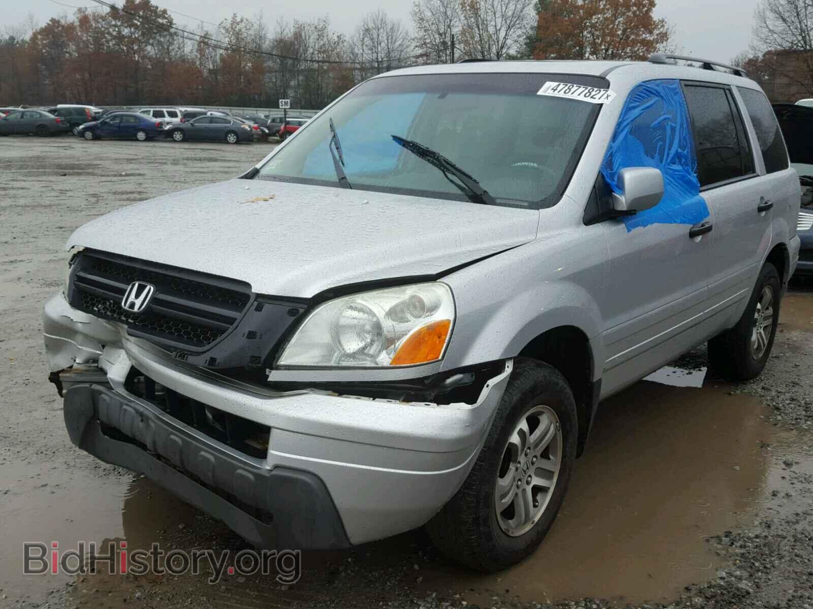 2005 HONDA PILOT - VIN: 2HKYF18545H546169 - Фото 2