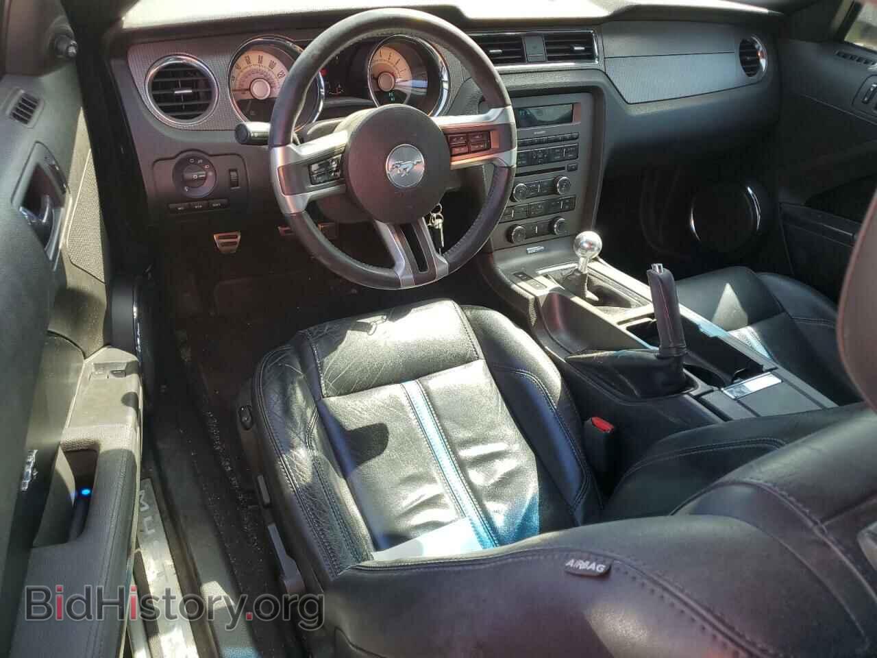 2010 FORD MUSTANG - VIN: 1ZVBP8CH8A5143204 - Фото 8