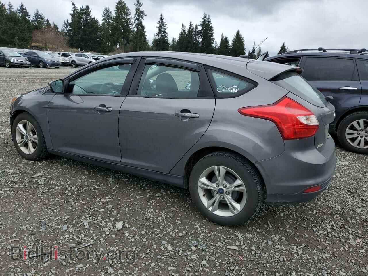 2013 FORD FOCUS - VIN: 1FADP3K28DL298014 - Фото 2