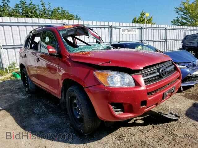 Фотография 2T3BF4DV7CW219543 - TOYOTA RAV4 2012