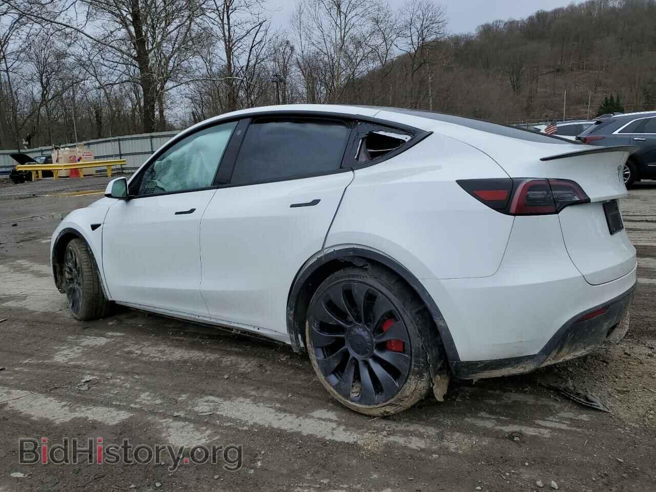 2023 TESLA MODEL Y - VIN: 7SAYGDEF8PF645075 - Фото 2