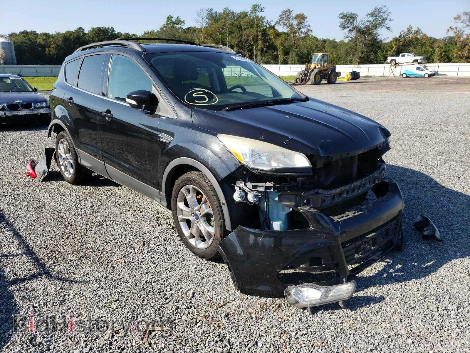 Photo 1FMCU0HXXDUD75858 - FORD ESCAPE 2013