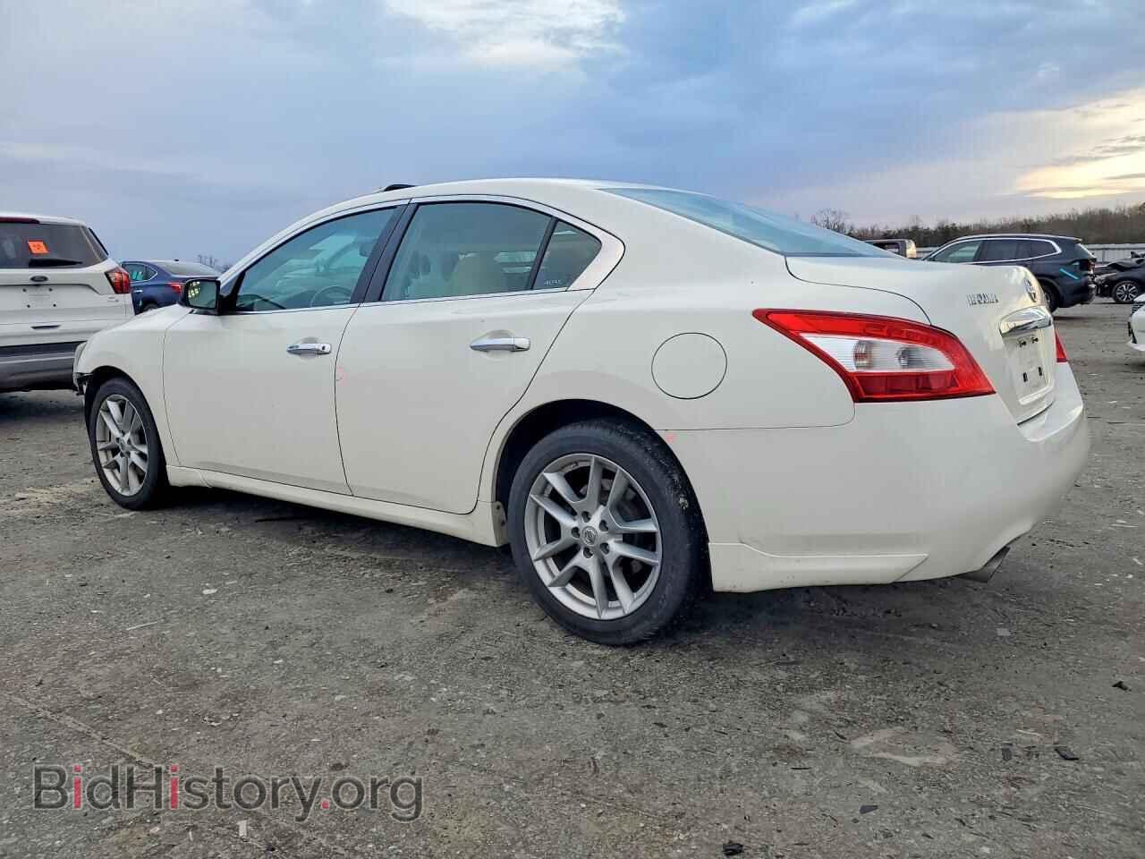 2010 NISSAN MAXIMA - VIN: 1N4AA5AP8AC824537 - Фото 2