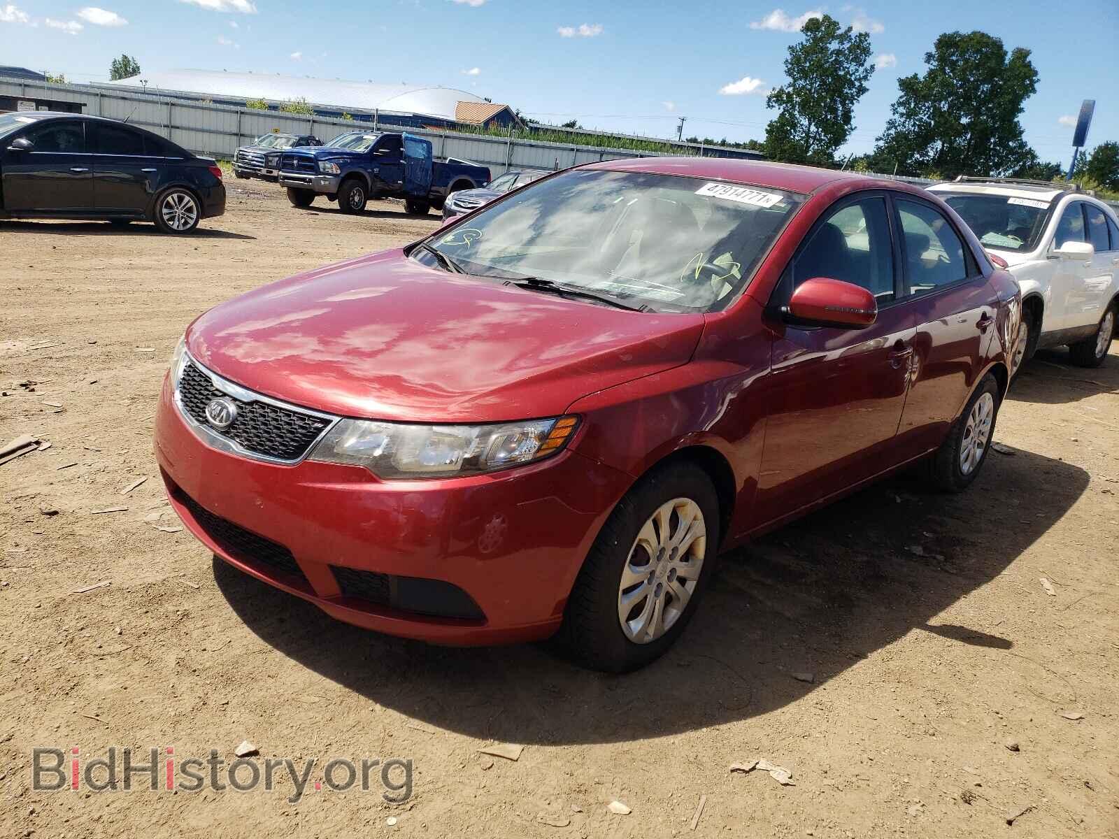 2012 KIA FORTE - VIN: KNAFU4A2XC5548601 - Фото 2