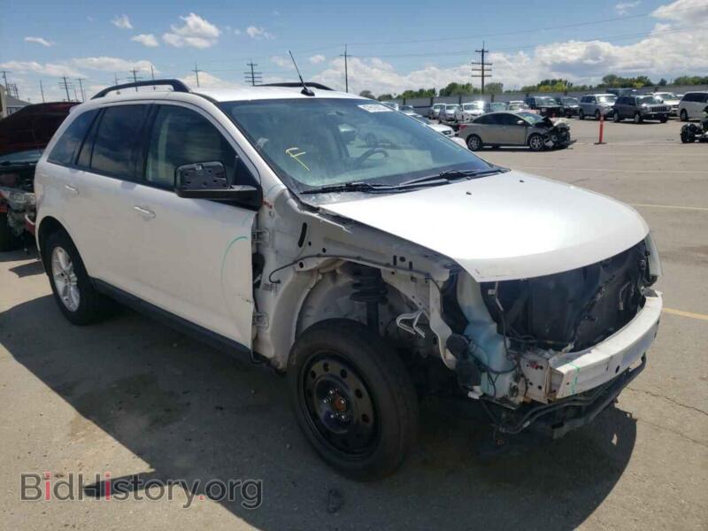 2009 Ford EDGE Edge SEL (VIN 2FMDK48C49BA52496) — фото 1 из 10, Copart, повреждение: передняя часть