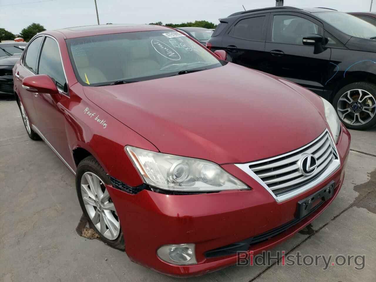 Photo JTHBK1EG1A2393977 - LEXUS ES350 2010