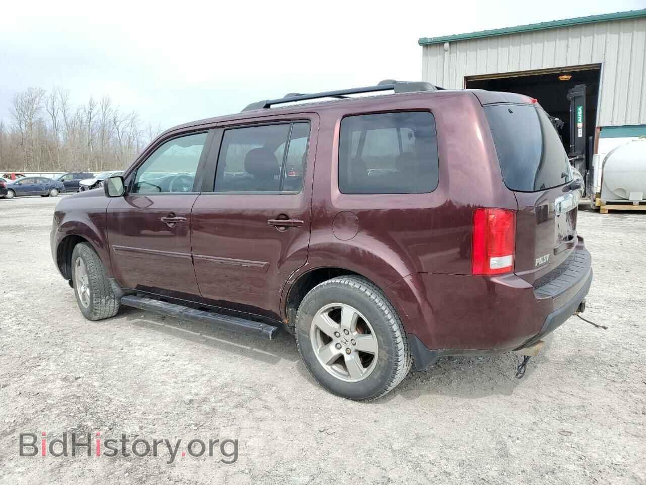 2009 HONDA PILOT - VIN: 5FNYF484X9B053433 - Фото 2