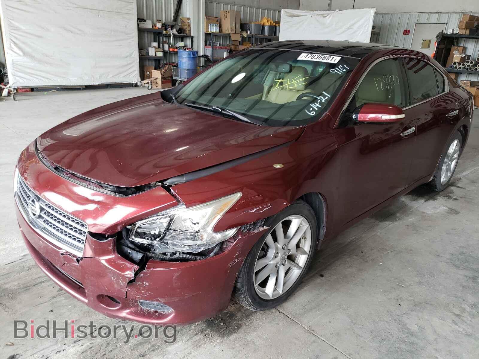 2009 NISSAN MAXIMA - VIN: 1N4AA51E69C819167 - Фото 2
