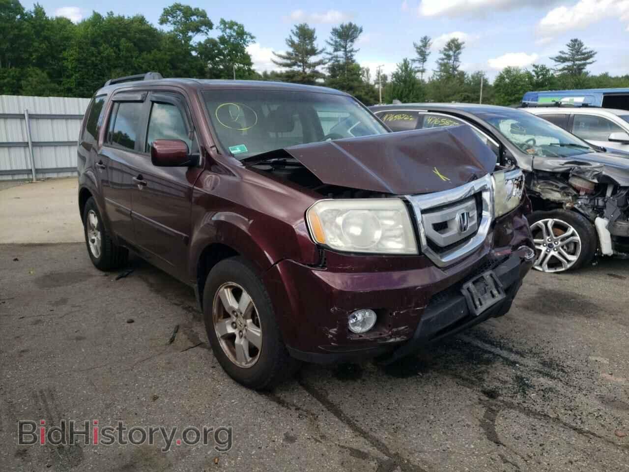 Фотография 5FNYF48529B004851 - HONDA PILOT 2009