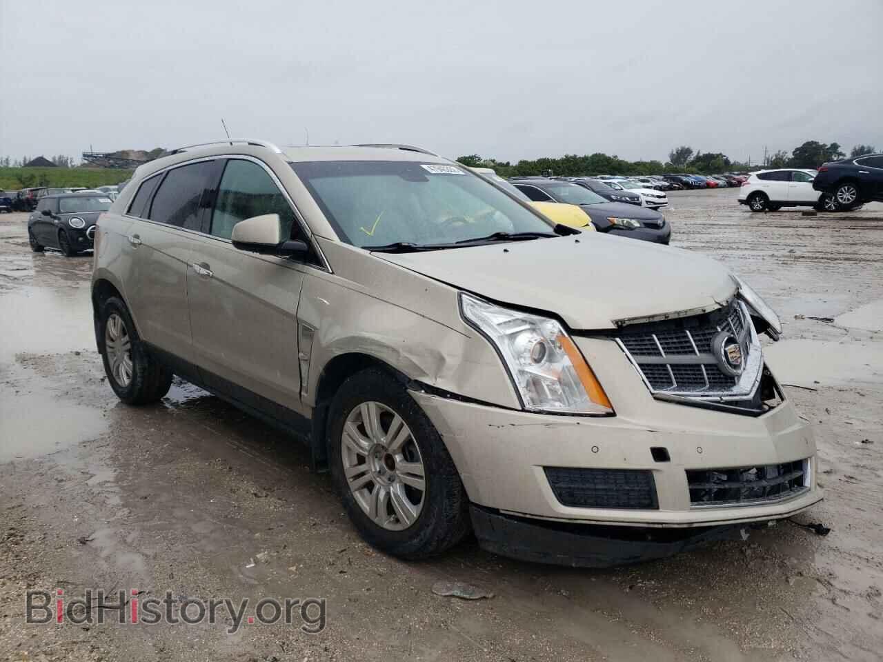 Фотография 3GYFNAE38CS580223 - CADILLAC SRX 2012