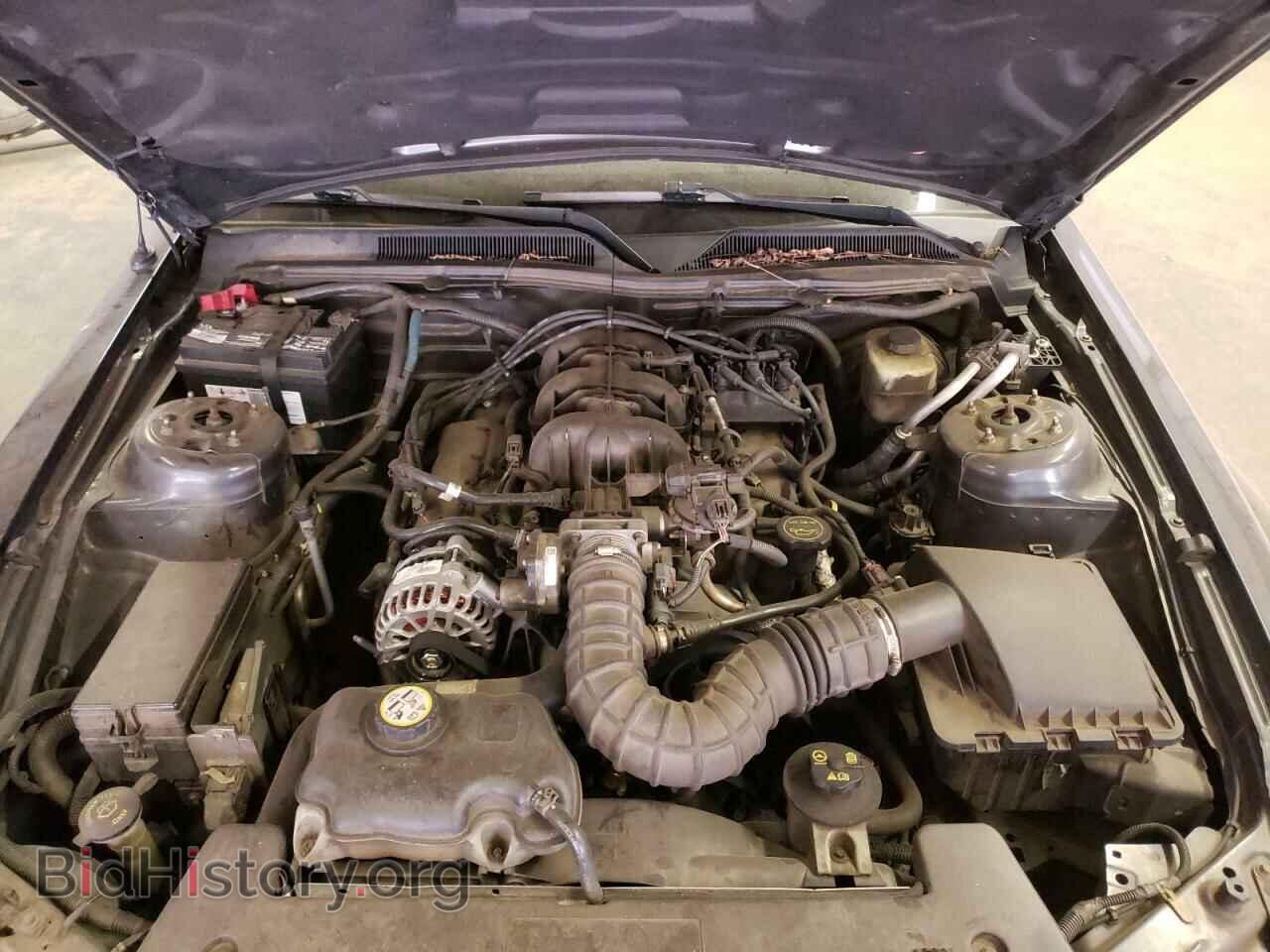 2008 FORD MUSTANG - VIN: 1ZVHT80N485120884 - Фото 7