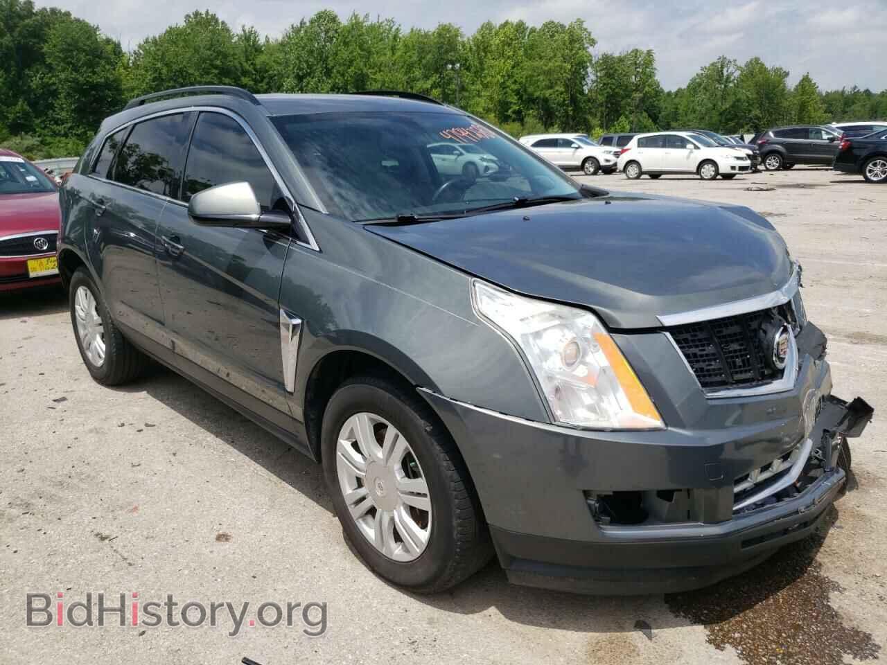 Фотография 3GYFNAE39DS567238 - CADILLAC SRX 2013