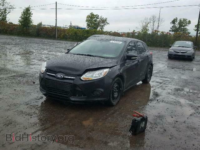 2014 FORD FOCUS - VIN: 1FADP3K23EL364390 - Фото 2