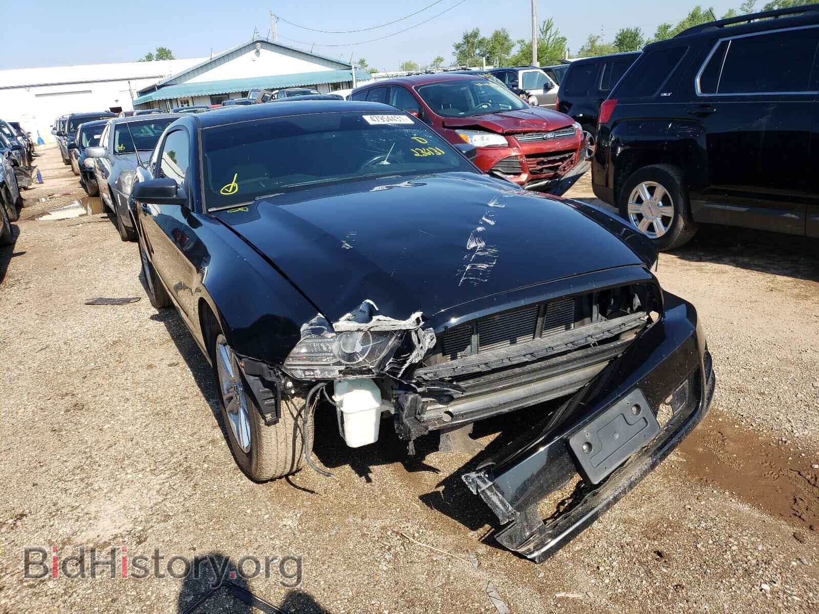 Фотография 1ZVBP8AM4E5236131 - FORD MUSTANG 2014