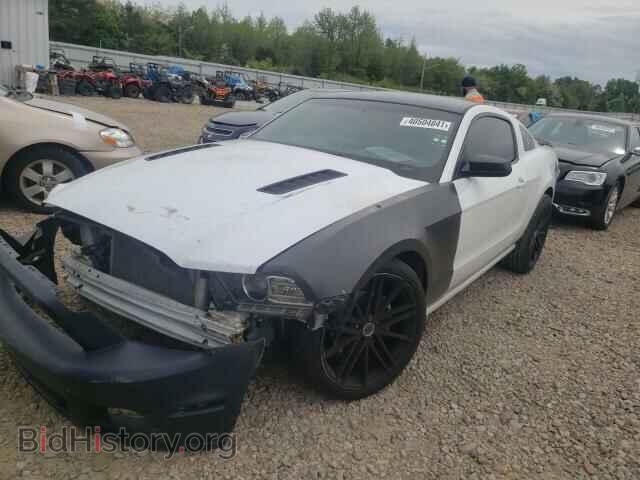 2014 FORD MUSTANG - VIN: 1ZVBP8AM7E5269978 - Фото 2