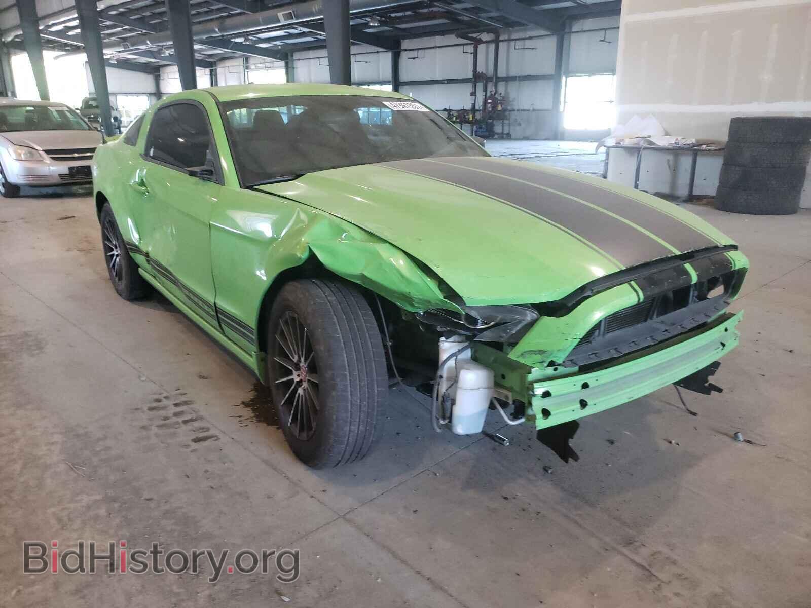 Фотография 1ZVBP8AM0D5210687 - FORD MUSTANG 2013