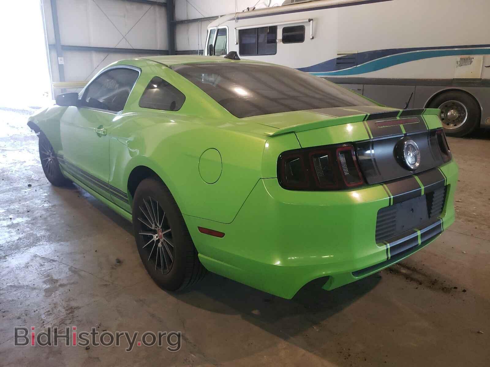2013 FORD MUSTANG - VIN: 1ZVBP8AM0D5210687 - Фото 3