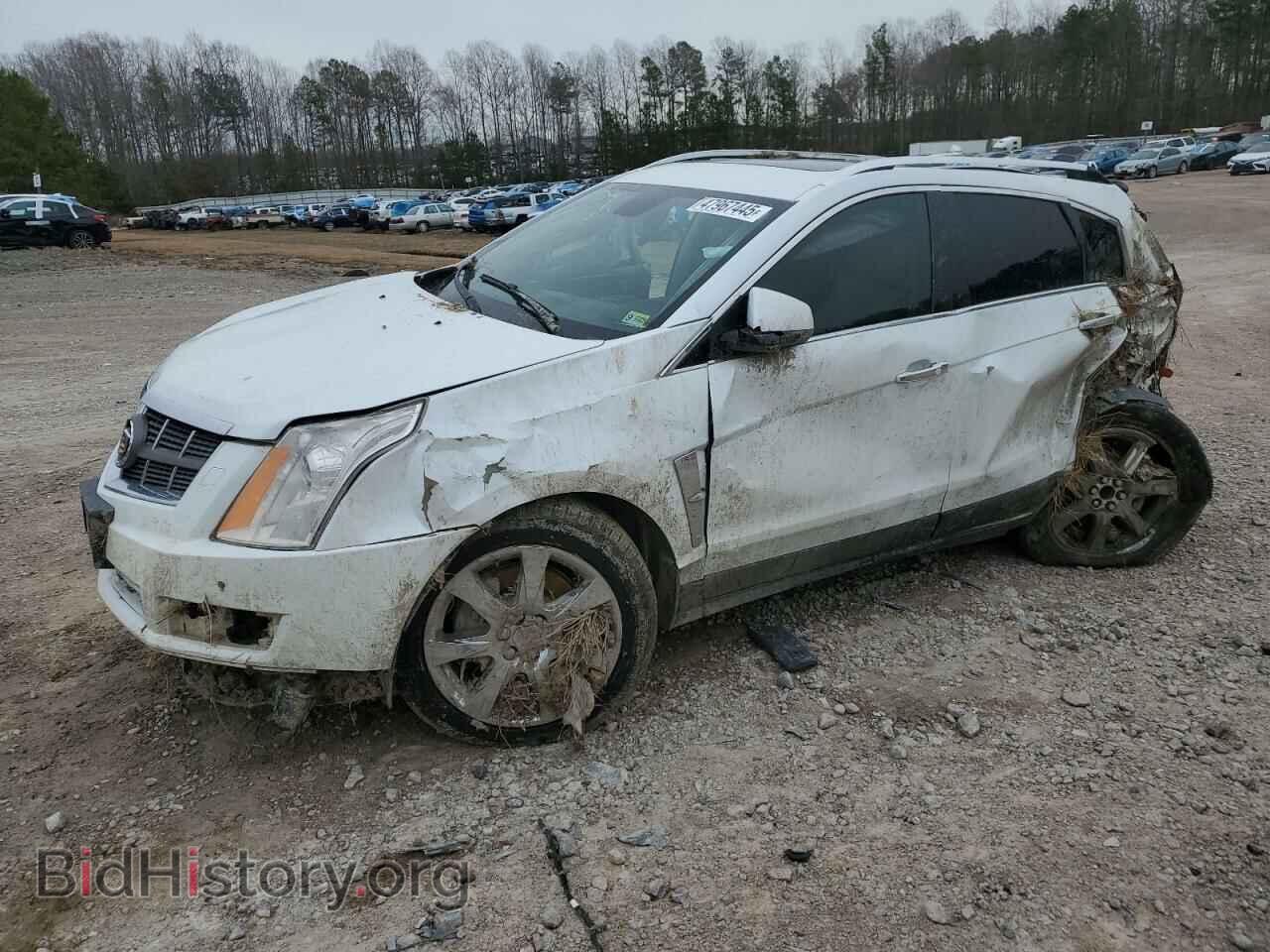Фотография 3GYFNCE36CS565084 - CADILLAC SRX 2012