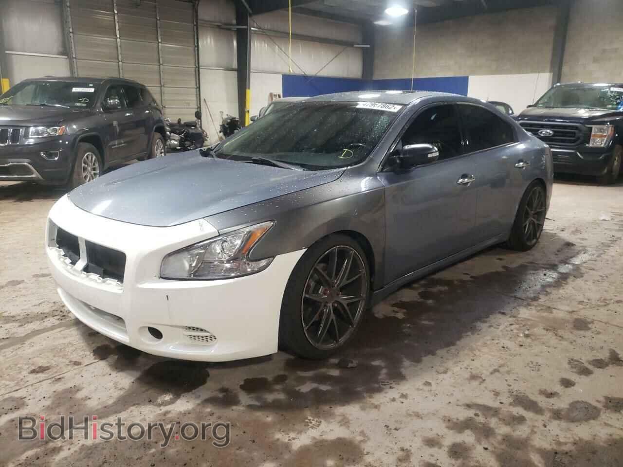 2011 NISSAN MAXIMA - VIN: 1N4AA5AP3BC868625 - Фото 2