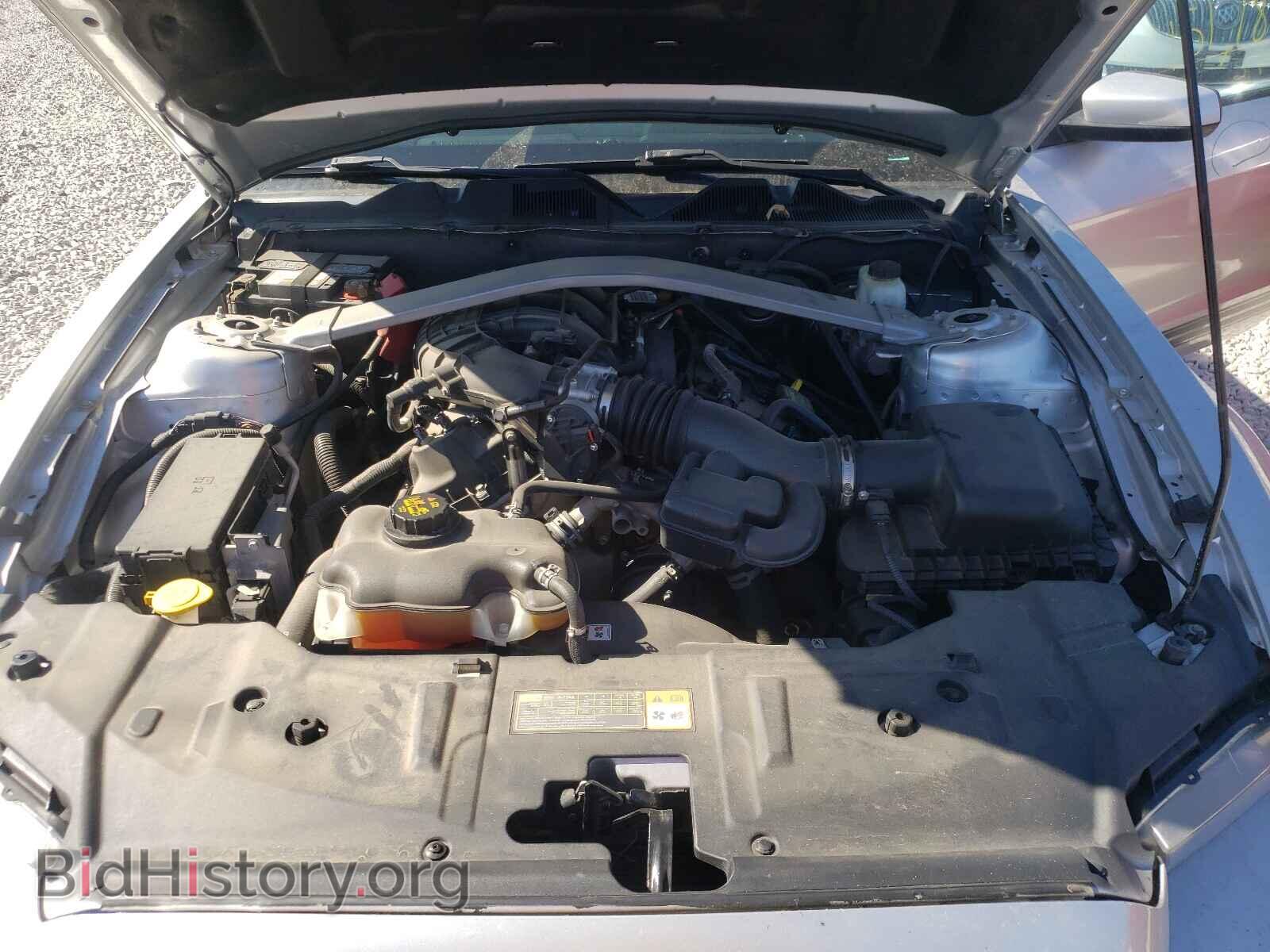 2013 FORD MUSTANG - VIN: 1ZVBP8EM7D5239596 - Фото 7